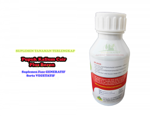 sekelas suplemen kalinet