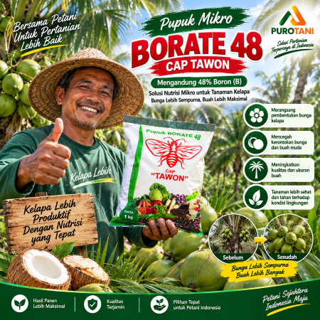 Pupuk Mikro Borate 48 Cap Tawon 1KG