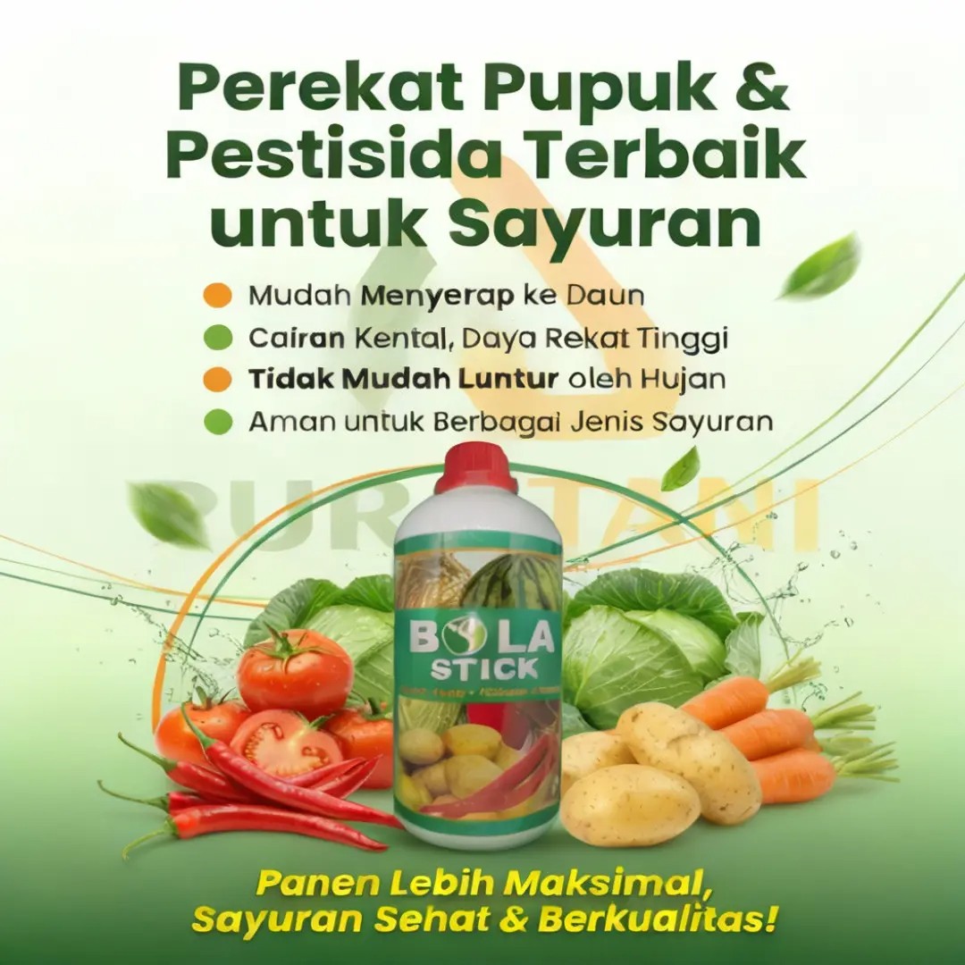 Bola Stik Perekat Penembus Perekat Pestisida