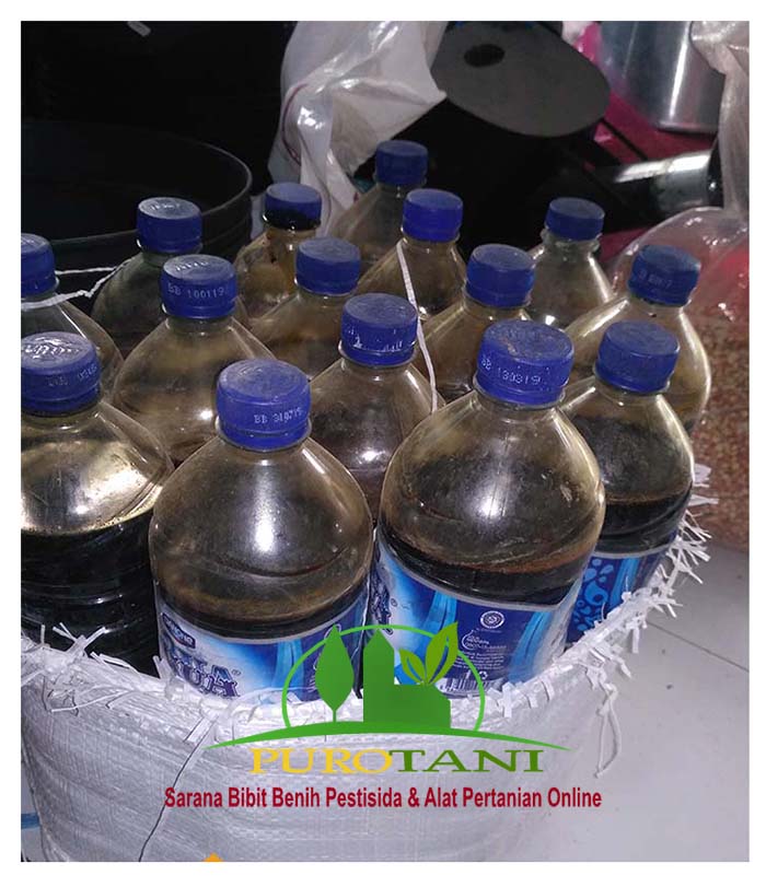 Molases Tetes Tebu Molase 1500 ML - Gambar 2