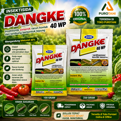 dangke DGW