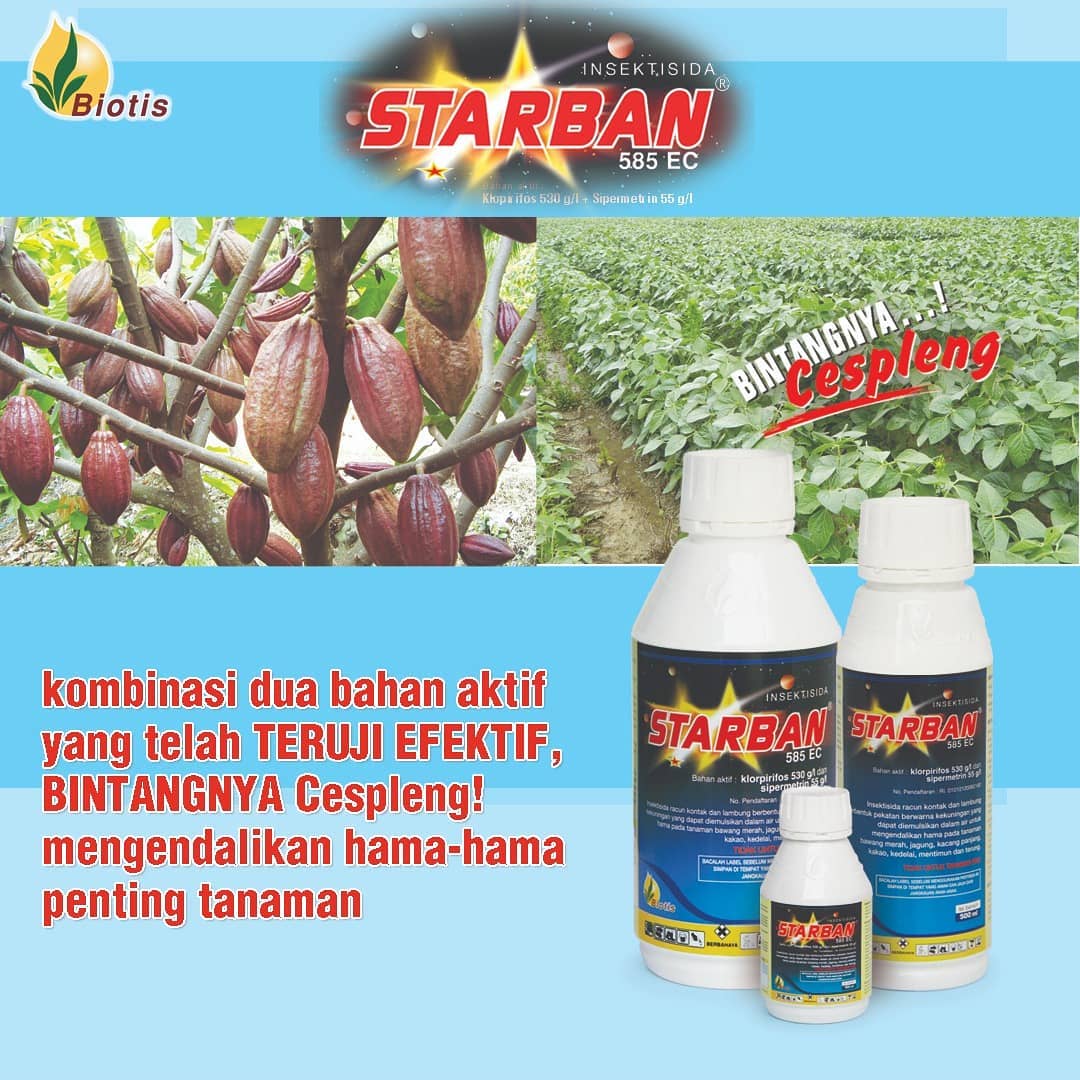 Insektisida Starban 585 EC
