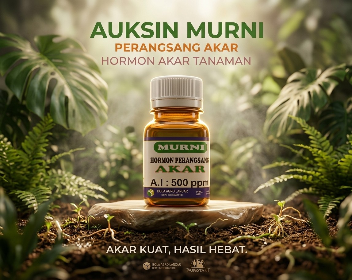 ZPT Hormon Akar Auxin Murni Auksin Murni