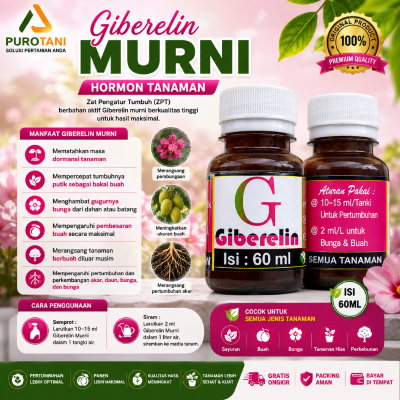 ZPT Giberelin Murni Hormon Bunga Buah