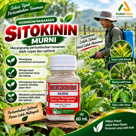 Hormon Batang Sitokinin Murni ZPT Batang Dan Daun