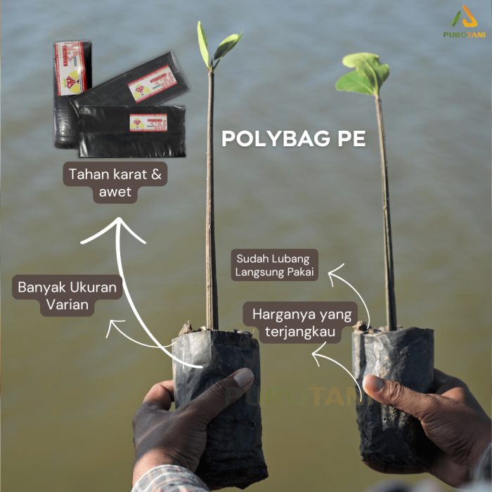 Polibek 15×20 cm Pot Polybag 15×20 PE 1KG