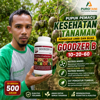 Pupuk Pemacu Buah umbi biji GOODZER B 10-20-60 500gr