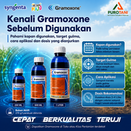 Herbisida Paraquat Gramoxone 276 SL