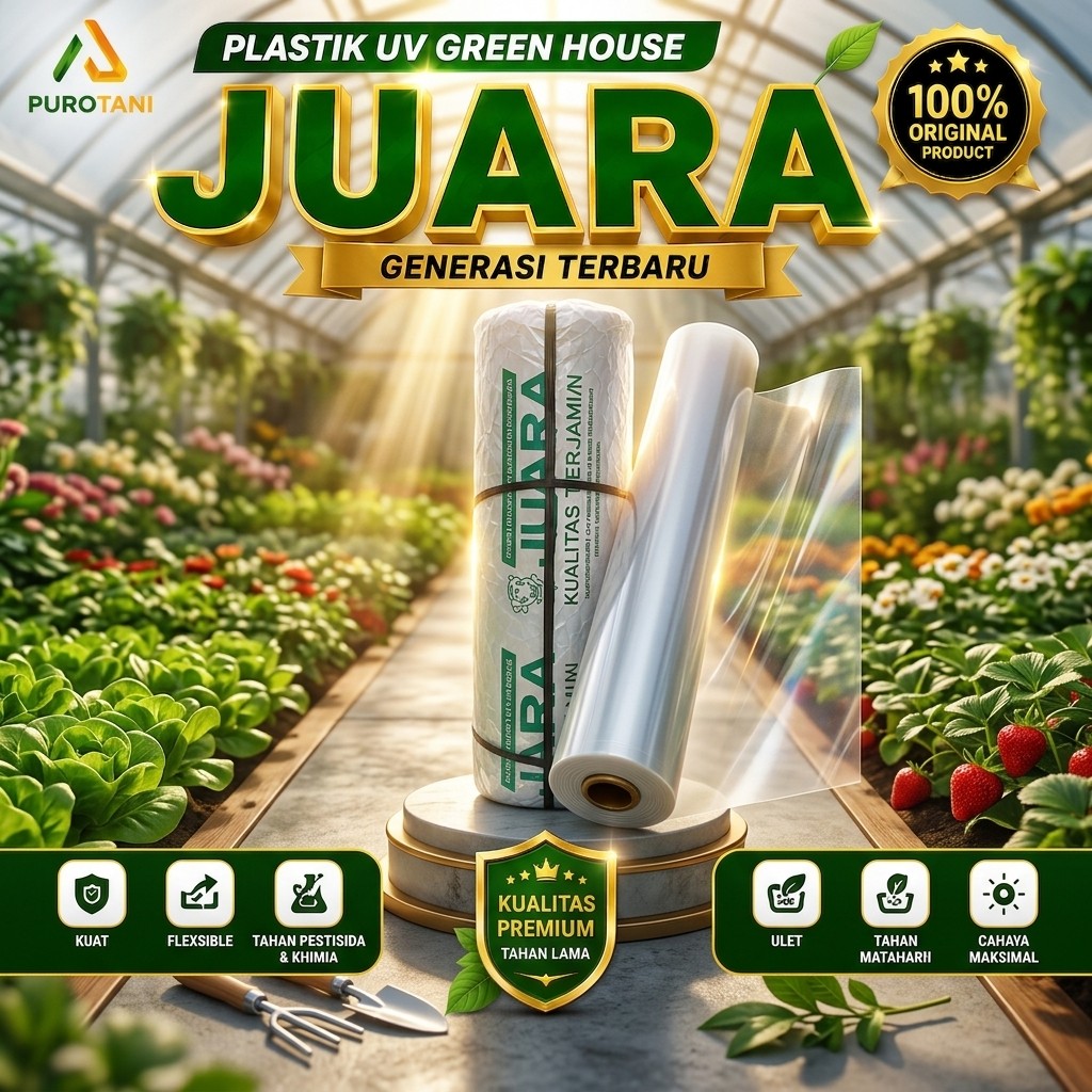 Plastik Ultra Violet UV Lebar 4M Hidroponik Green House Cap Juara - Gambar 3