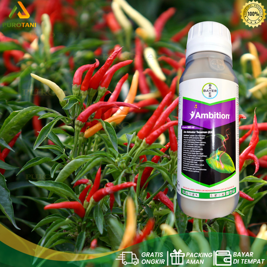 Ambition 500 ML Bayer Asam Amino Fulvat Mikro Zat Aktivator Tanaman - Gambar 2