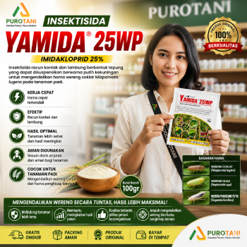 Insektisida Yamida 25wp 100gram Imidakloprid