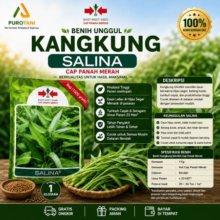 Kangkung Daun Lebar SALINA Exp 2027