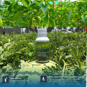 PREMINO 1Liter - Asam Amino dan Pupuk Cair Protein