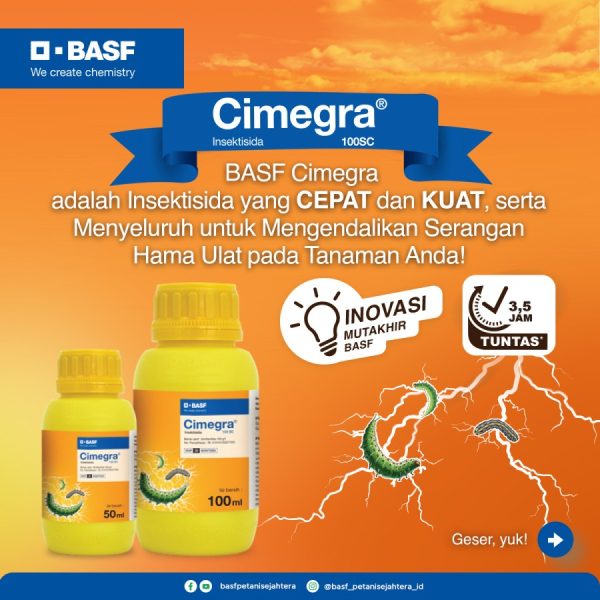 Jual Insektisida Cimegra 100SC Broflanilida 500g/l BASF Asli