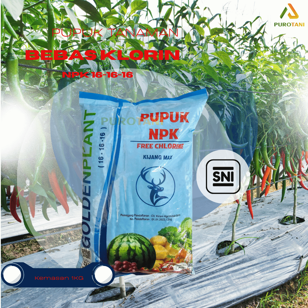 Pupuk NPK Kijang MAX 16.16.16 1 KG Bebas Chlorin