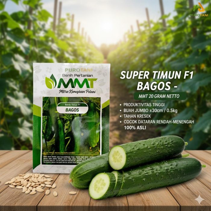 Benih Timun F1 BAGOS MMT SEED Bibit Original