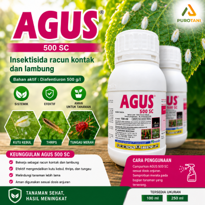 Insektisida AGUS 500 SC – Pengendali Kutu Kebul pada Tanaman Cabai | Diafentiuron 500 g/L