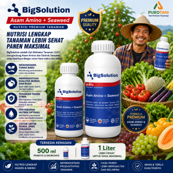 Pupuk Bigsolution Asam Amino + Seaweed Original Nutrisi