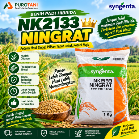benih padi hibrida Ningrat NK2133