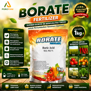 BORATE FERTILIZER 1 KG – Boric Acid B₂O₃ 46,5%