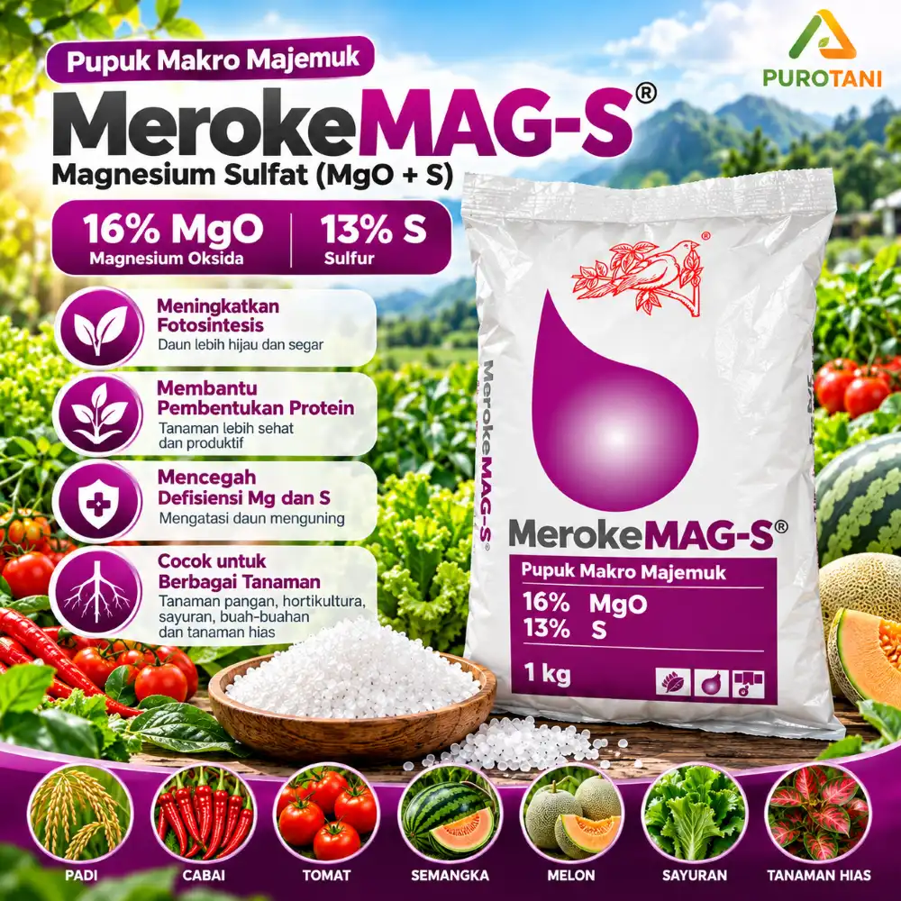 Pupuk Meroke MAG-S 1 Kg Magnesium Sulfat 16% MgO 13% S